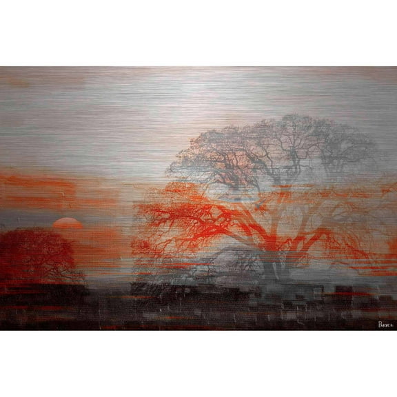 Parvez Taj Casa Vista Art Print on Brushed Aluminum