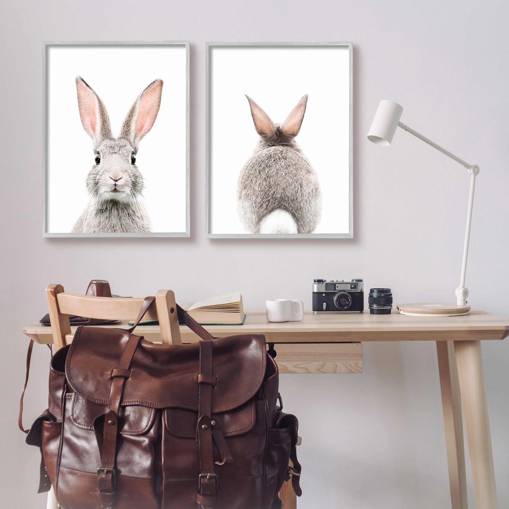 Stupell Industries Back & Front Bunnies Animals & Insects Painting Gray Framed Art Print Wall Art, 24 x 30, Set of 2