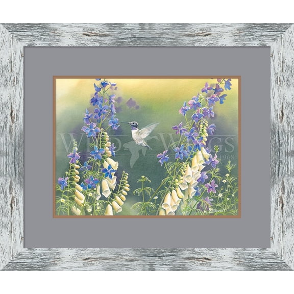 Black Chinned Hummingbird with Foxglove & Delphinium