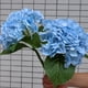 thumbnail image 4 of Simulated Large Embroidered Ball With Realistic And Moisturizing Touched Artificial Wedding Floral Decoration-wedding Artificial Flowers, 4 of 4