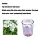 thumbnail image 5 of Velas Aromáticas para Dormitorio En Tarro de Cristal, Cera Vegetal | 4 Aromas | Regalo Ideal para Mujer | Cera Vegetal Natural | Combustión Limpia y Uniforme | Tamaño: 5 X 6 Cm, 5 of 6