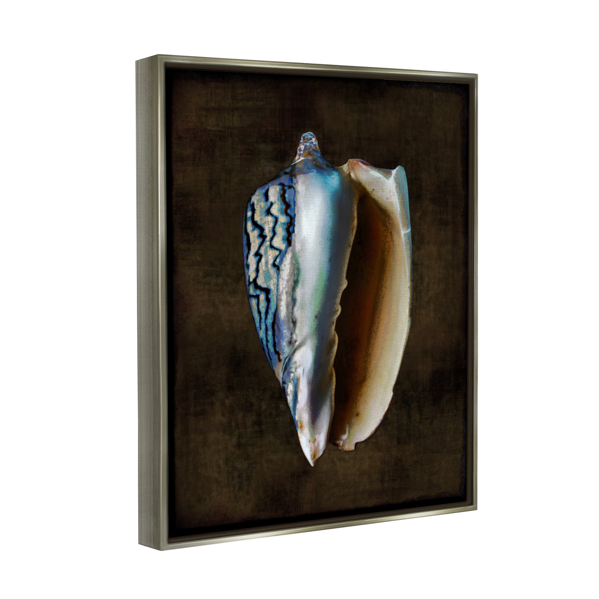 Stupell Industries Dark Conch Shell Nature Painting Gray Floater Framed Canvas Art Print Wall Art, 17 x 21