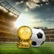 thumbnail image 3 of Trofeo de fútbol Balón de Oro Premio al mejor jugador Regalo conmemorativo DOR, 3 of 4