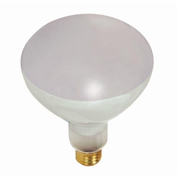 Satco Reflector Lamp,BR40 Bulb Shape,5500 lm S7007