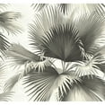 thumbnail image 3 of Kenneth James Endless Dark Green Palm Unpasted Gravure Acrylic Coated Wallpaper, 27-in by 27-ft, 60.8 sq. ft., 3 of 4