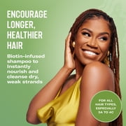 Mielle Rosemary Mint Strengthening & Clarifying Shampoo - 12 fl oz