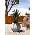 thumbnail image 4 of Veradek Strata Series Sphere Plastic-Stone Round Planter - White, 4 of 9