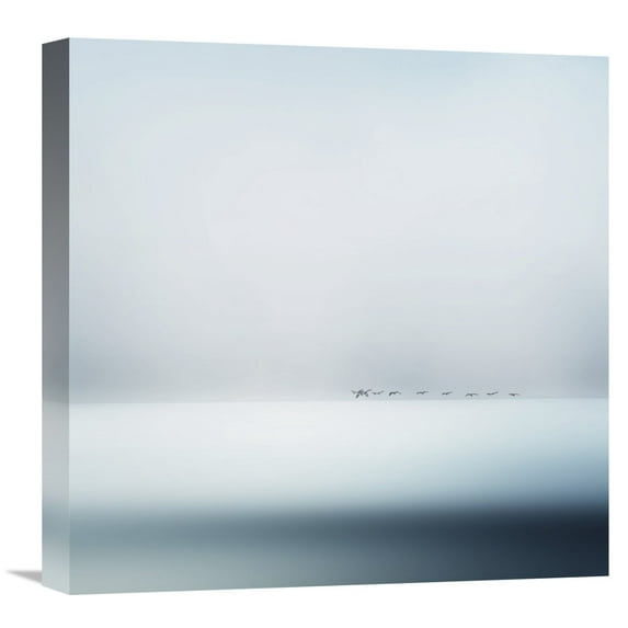 Global Gallery Piet Flour,'Wild Geese' Stretched Canvas Artwork