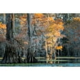thumbnail image 3 of Head, Danny 18x13 Black Modern Framed Museum Art Print Titled - Soft Light II, 3 of 5