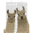 thumbnail image 2 of Fab Funky 15x18 White Modern Wood Framed Museum Art Print Titled - Llama Duo, Looking at You Book Print, 2 of 4