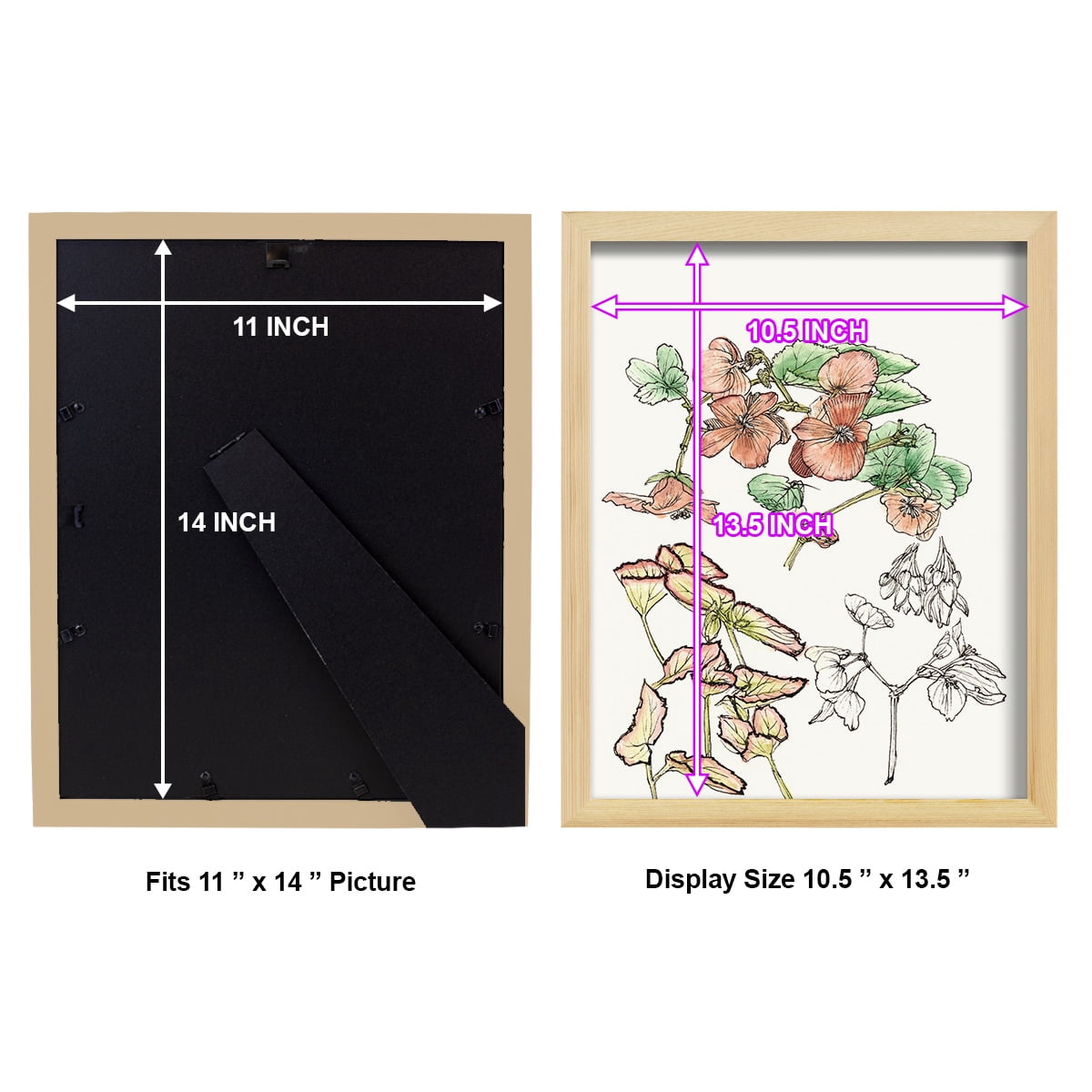 Begonia Study -Framed Print w/glass-Natural Wood