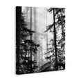 thumbnail image 2 of Forest Light Shining Through Tall Trees Landscape Photography Canvas Art, 36 x 48, 2 of 6
