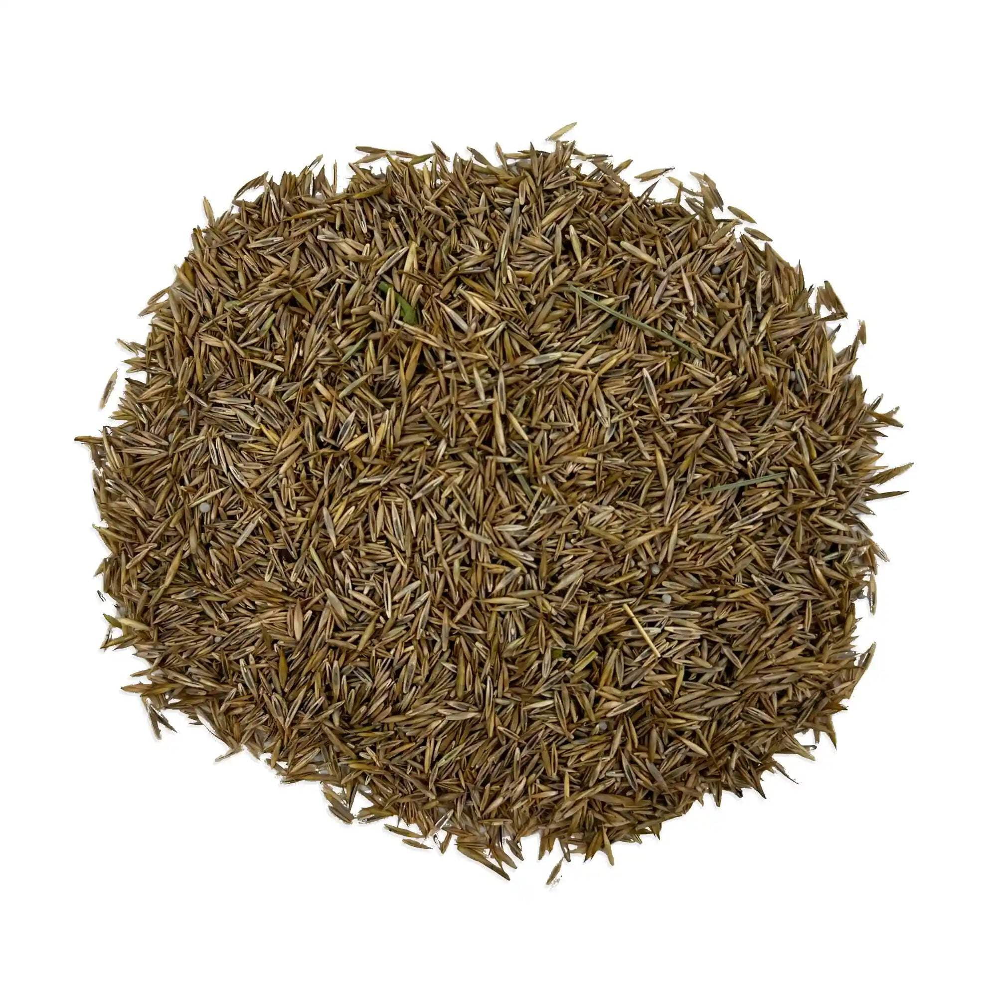 Ferry-Morse EcoEase Microclover and Fescue Low Maintenance Ground Cover Grass Seed Mix, 2 lb.