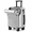 GRAY, variant on 20 Inch ABS+PC Material Luggage, Travel Function Boarding Case, Big Capacity Suitcase With Password Lock And Wheels, Green