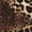 CZC157, variant on Leopard Print Seamless Brown Pattern Women Dress V-Neck Short Sleeve Flowy Swing Party Midi Dress