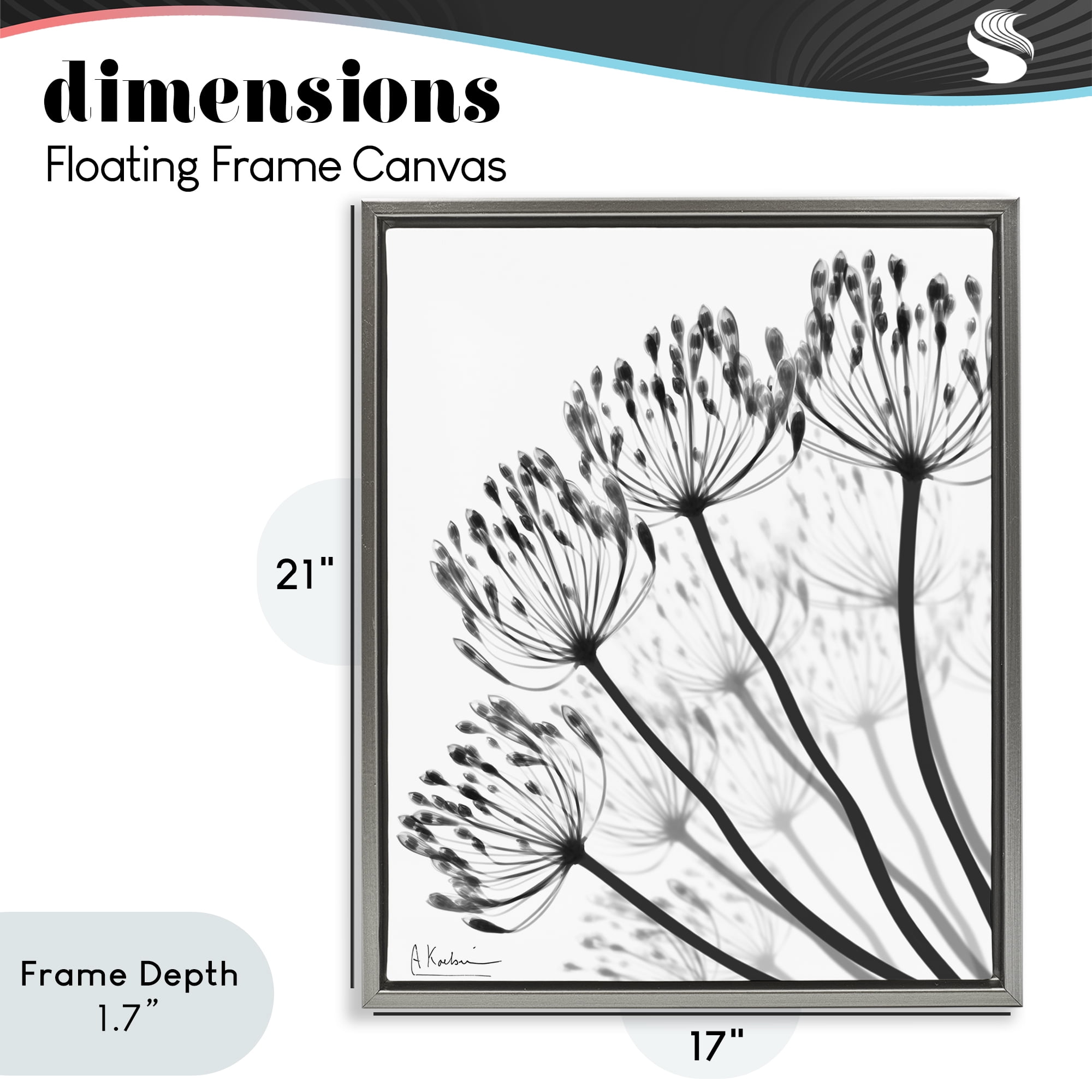 Stupell Industries Floral Fan Dandelions Gray Framed Floater Canvas Wall Art, design by Albert Koetsier