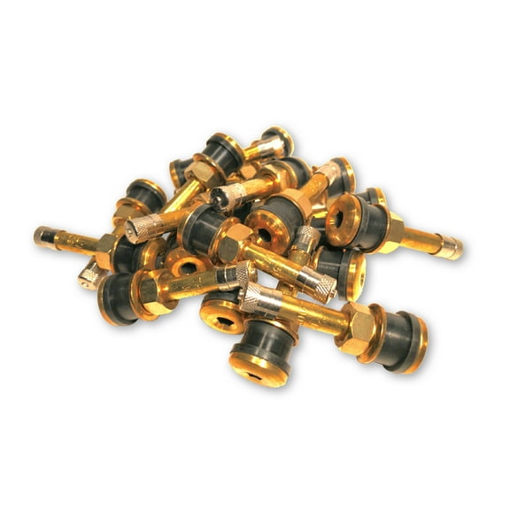 Twenty TR500 Straight Brass Clamp in Tubeless 2-inch inch Truck or Bus Valve Stems by TYK Industries