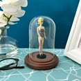 thumbnail image 3 of Plymor 3 inch x 5 inch Glass Display Dome Cloche (Dark Wood Base), 3 of 3