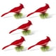 thumbnail image 3 of Pájaros Artificiales Naiovety 5 uds Clip en Plumas Decoración de Árbol de Navidad Color Rojo, 3 of 6