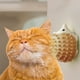 thumbnail image 5 of Bolas de hierba gatera para la dentición de erizos, juguetes para gatos, juguetes de autoayuda, juguetes de plástico, cosquillas, 5 of 6