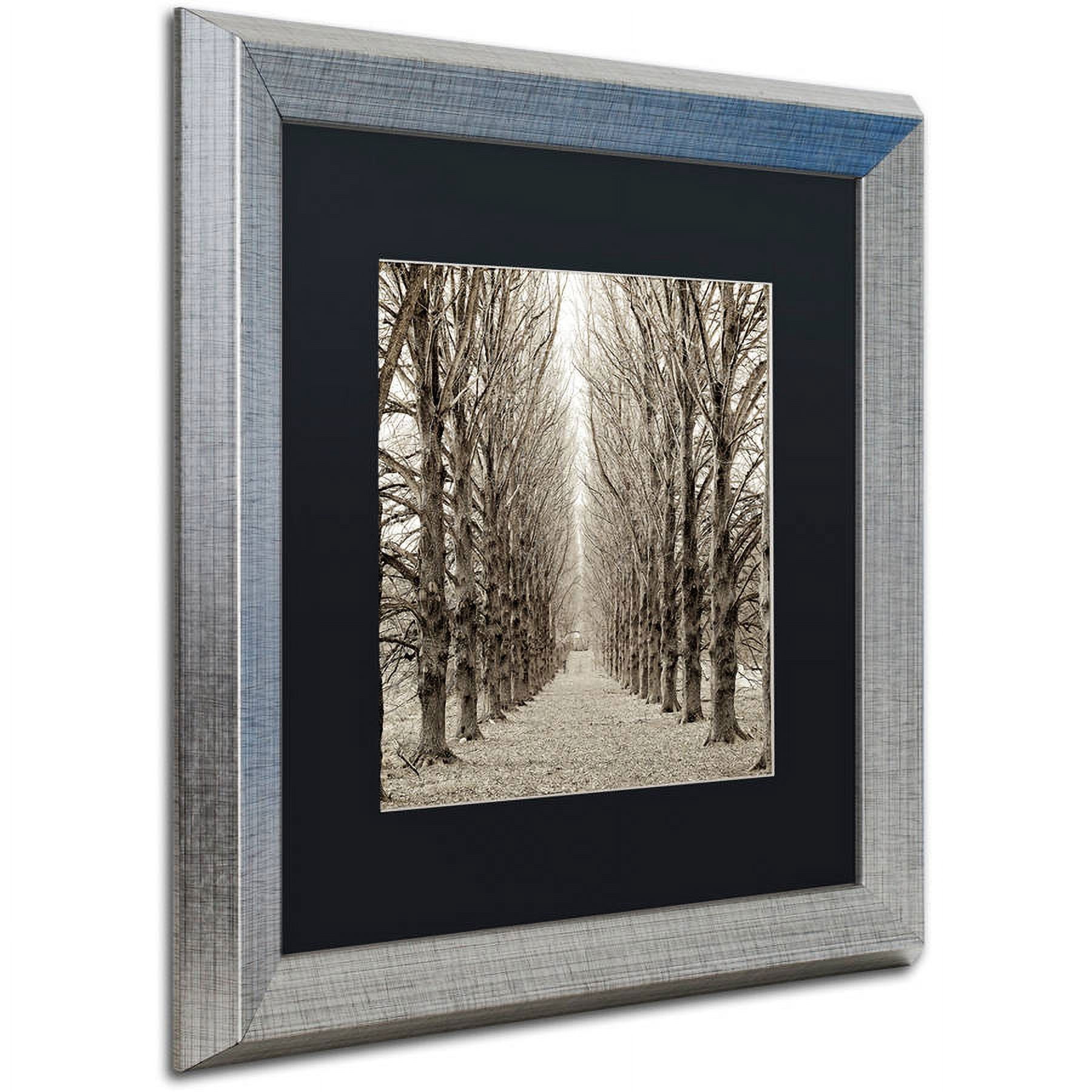 Trademark Fine Art "Hampton Gates Promenade III" Canvas Art by Alan Blaustein, Black Matte, Silver Frame