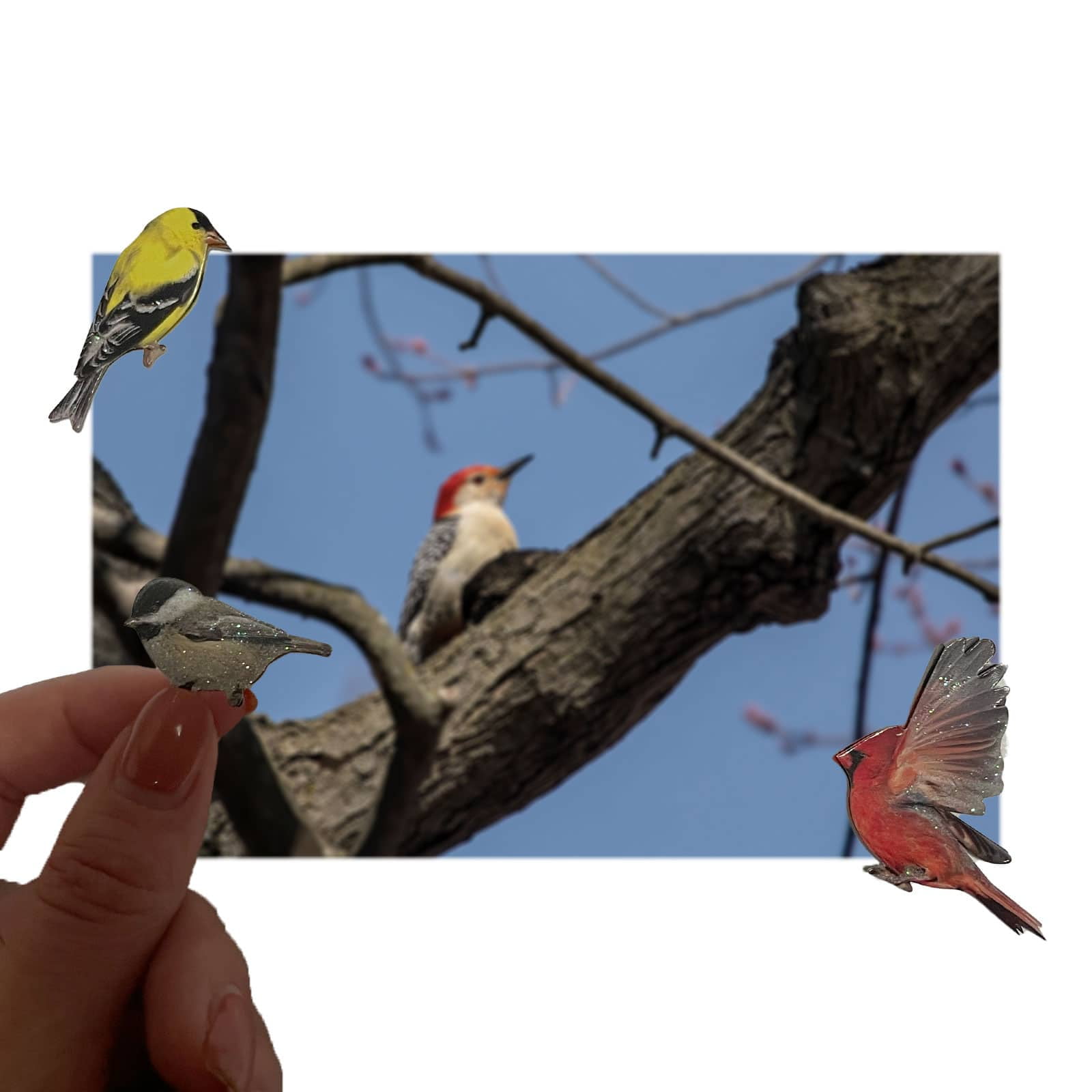 Recollections Bird Stickers, 12 Packs: 18 ct. (216 total)