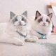 thumbnail image 5 of Adjustable Cat Collar, Rabbit Bell Collars Pets Necklace Nylon Accessory Supply Cat Bell Collar With Extension Chain With Bell For Small Dogs A, 5 of 5