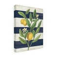 thumbnail image 2 of Sue Schlabach 'Classic Citrus V Navy Shiplap NW' Canvas Art, 2 of 3