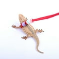 thumbnail image 3 of Lizard Traction Rope, Adjustable Reptile Leash Comfortable and Durable Nylon Material Reptile Harness Leash for Small Animal Outdoor Walks and Training, 3 of 8