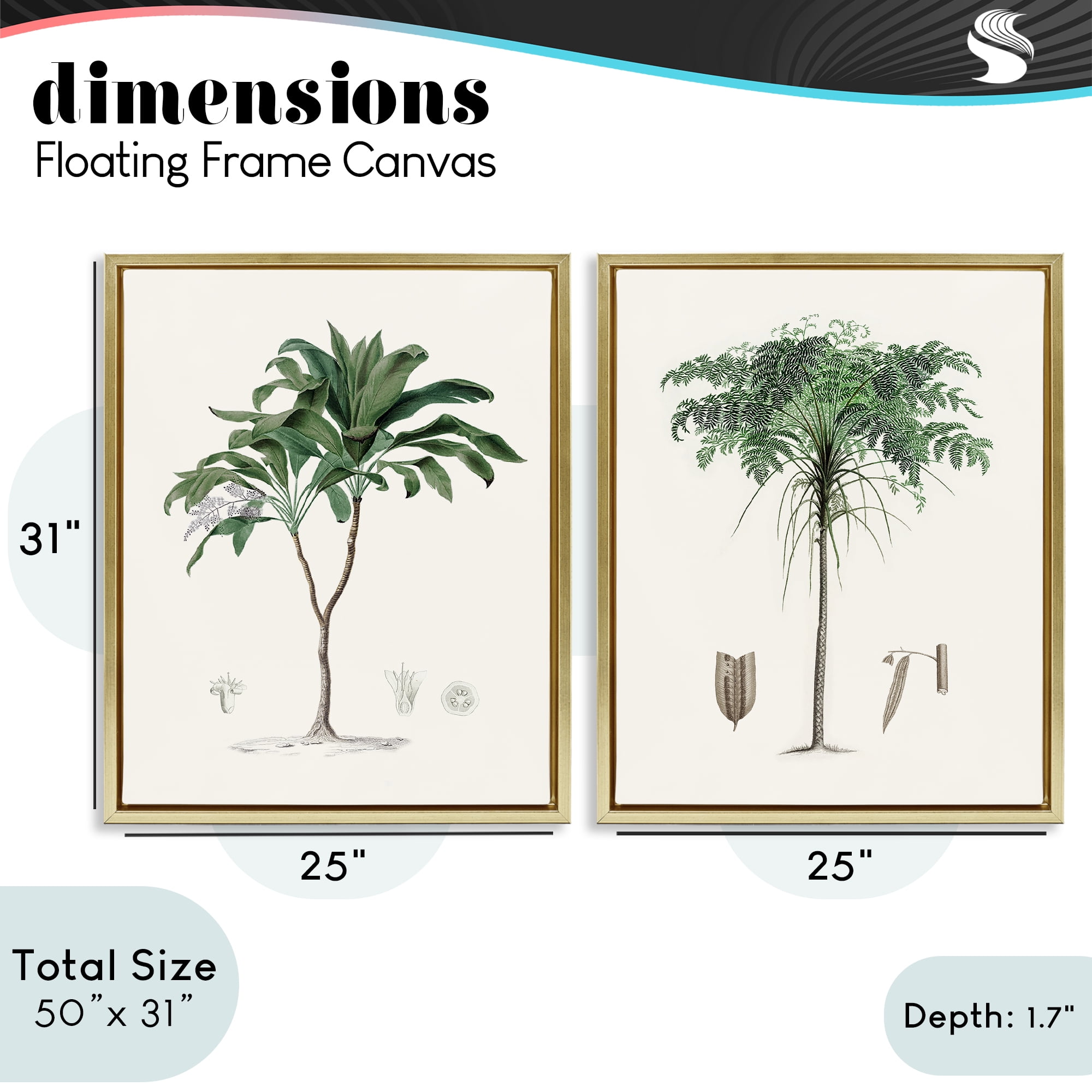 Stupell Industries Two Types of Palms 2 Piece Gold Framed Floater Canvas Set, design by Val Rhodes