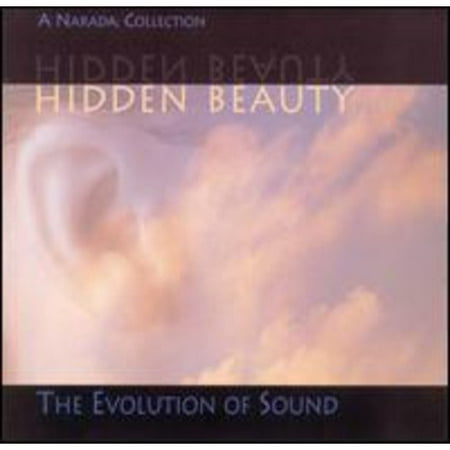Hidden Beauty: The Evolution Of Sound