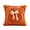 1PC-ORANGE-01, variant on Fall Pillow Covers Pumpkin Fall Decor 18x18 Orange | Fall Decorations for Home, Plush Faux Fur Farmhouse Accent Pillowcases, Porch Sofa Couch Cushion Bed Livingroom 1PC
