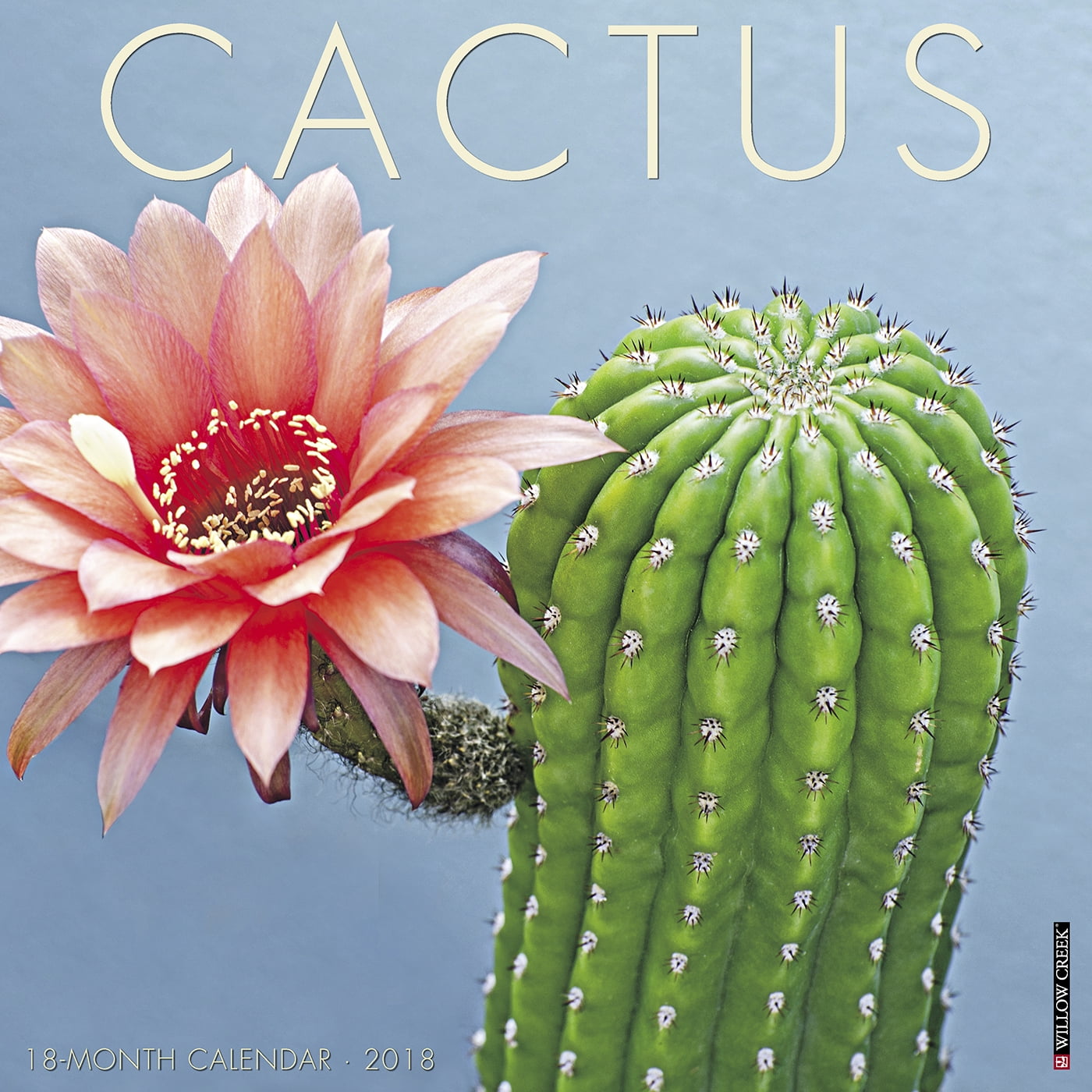 Cactus 2018 Wall Calendar (Other)