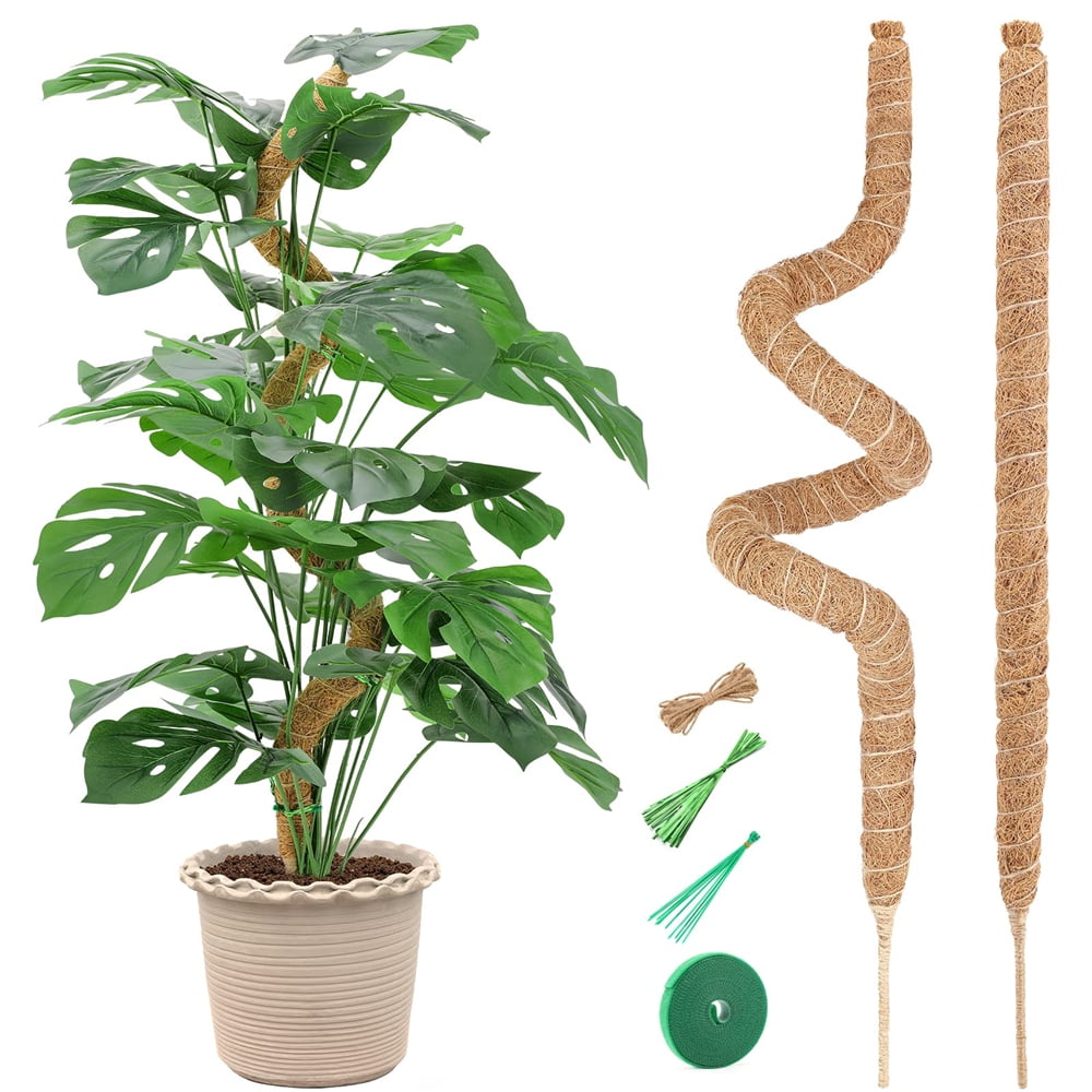 Moss Pole, Moss Pole for Plants Monstera, 45'' Moss Poles for Climbing