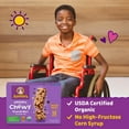 thumbnail image 3 of 2X-Annie's Organic Value Pack Chocolate Chip Chewy Granola Bars - 0.88 oz - 12 ct, 3 of 5