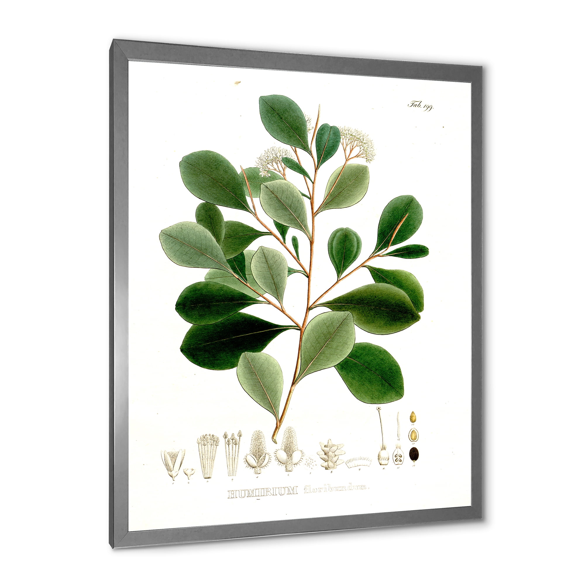 Designart 'Ancient Botanicals IV' Traditional Framed Art Print