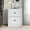 White, variant on Castle Place Vintage Nightstand with 2 Drawers, Dark Gray