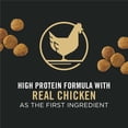 thumbnail image 3 of Purina Pro Plan Development Chicken & Rice Formula, Dry Puppy Food 15.4kg, 3 of 10