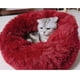 thumbnail image 2 of Pet Bed For Cats And Dogs Round Plush Dog Bed Donut Shaped Cat Bed, 2 of 5