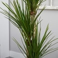 thumbnail image 4 of Nearly Natural 5.5 ft. Triple Stalk Yucca Artificial Plant in Slate Planter, 4 of 4