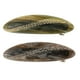 thumbnail image 1 of Pinza de pelo Yinane 2 piezas Pasador Abrazadera Alicates Agarre Garra Deslizador Metal Primavera francesa, 1 of 8