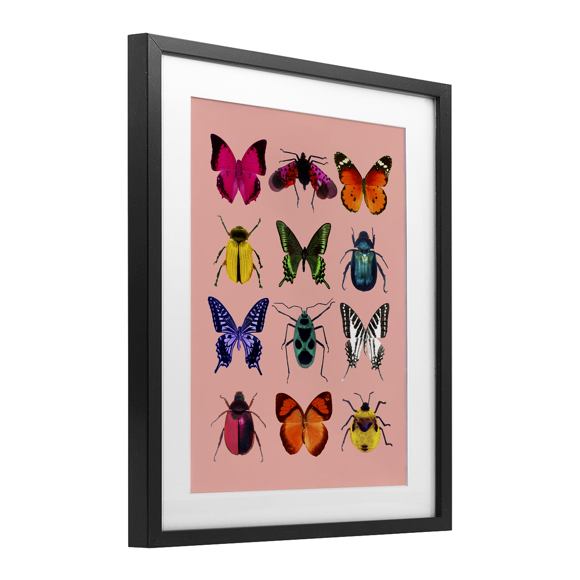 Colorful Bug Species on Pink Black Framed Print Under Glass, design by LISH Creative