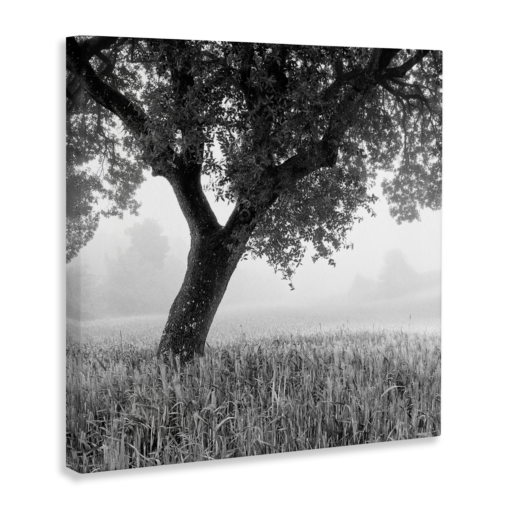 Stupell Industries Tuscan Morning Oak in Mist Canvas Wall Art, design by Chip Forelli