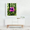 thumbnail image 2 of pinwheel - Garanhuns Pernambuco Brazil Photography Floral Nature Flowers Botanical Summer Scenic White Framed Wall Art Print 12 x 18 inches, 2 of 3