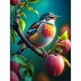 thumbnail image 1 of Pintura de diamante 5D DIY Kit de pájaro de taladro redondo completo Arte Decoración del hogar (QQ294) FLhrweasw Nuevo, 1 of 9