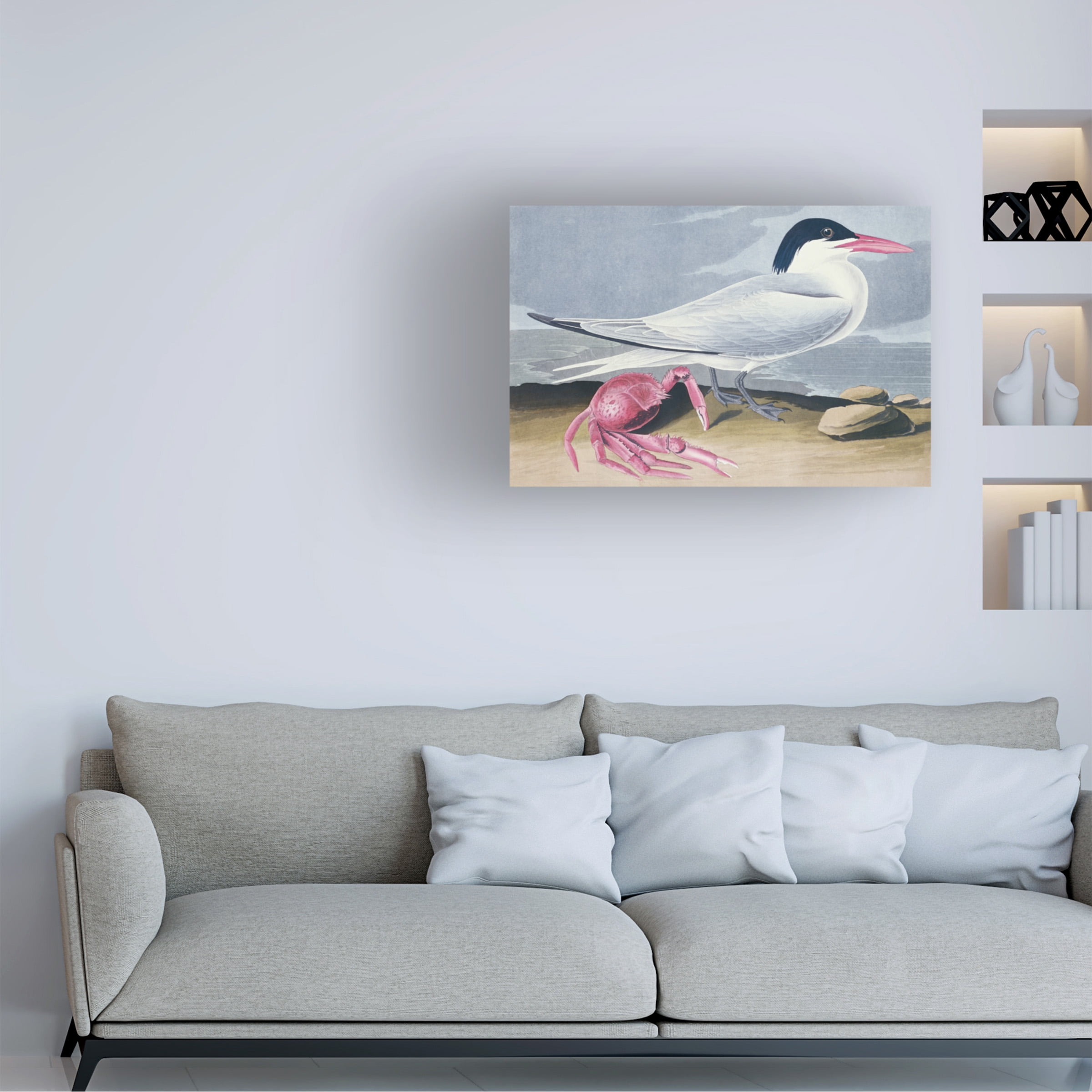 Trademark Fine Art "Cayenne Tern" Canvas Art by John James Audubon