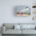 thumbnail image 2 of Trademark Fine Art "Cayenne Tern" Canvas Art by John James Audubon, 2 of 4