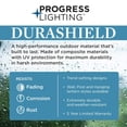 thumbnail image 2 of POINT DUME® Dunemere Shelter White Outdoor Wall Lantern with DURASHIELD, 2 of 2