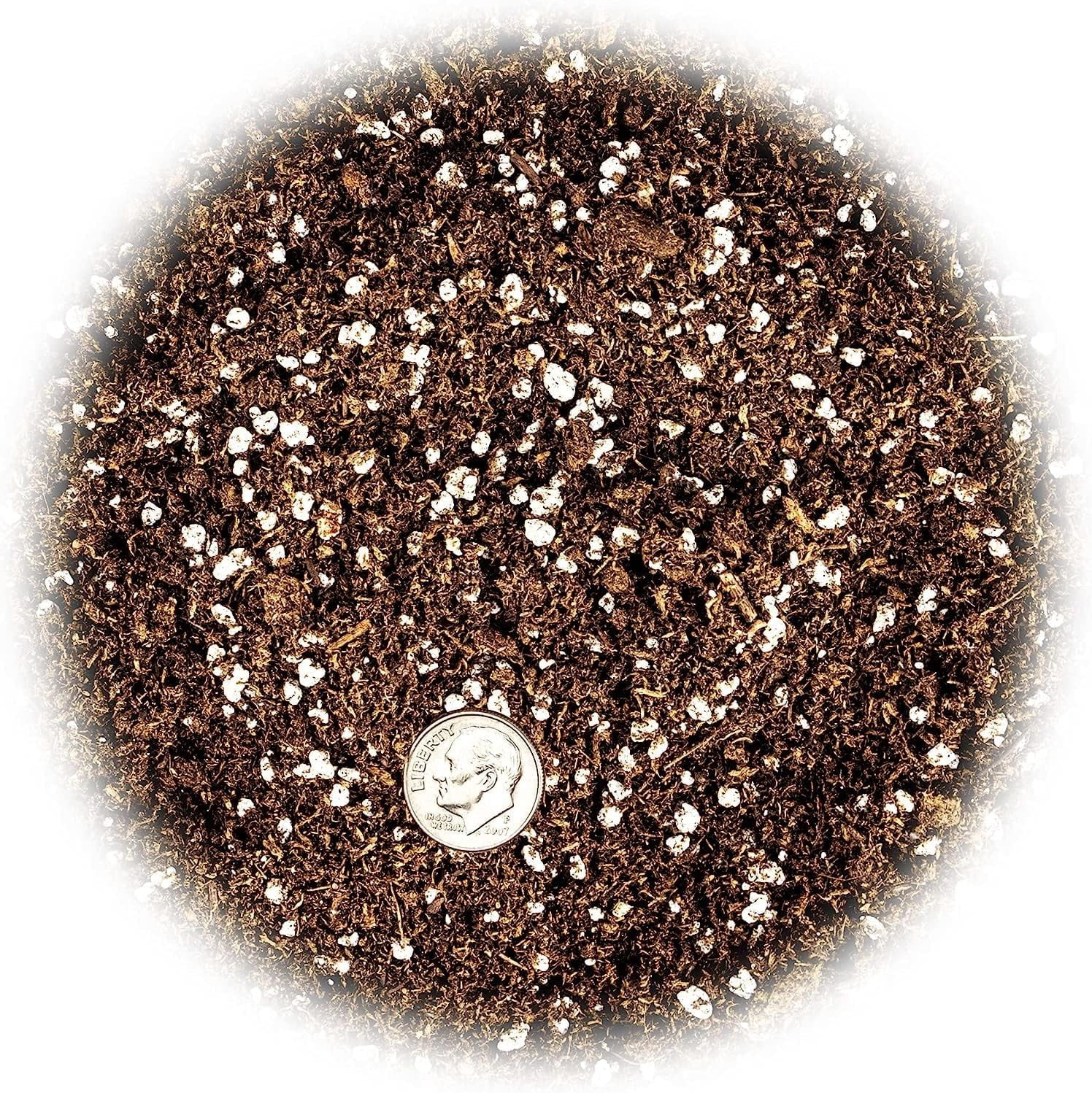 Premium Potting Soil Mix for Jade  - 10 Quart - A Perfect Combination of Organic Ingredients for Strong and Healthy Growth (2 Bags of 5 Quart)
