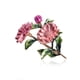 thumbnail image 2 of Qarigey Broche de flor estética, broche elegante para novia, joyería de moda para cumpleaños, novia, esposa, regalo personalizado rosa Rosado 20piezas, 2 of 6